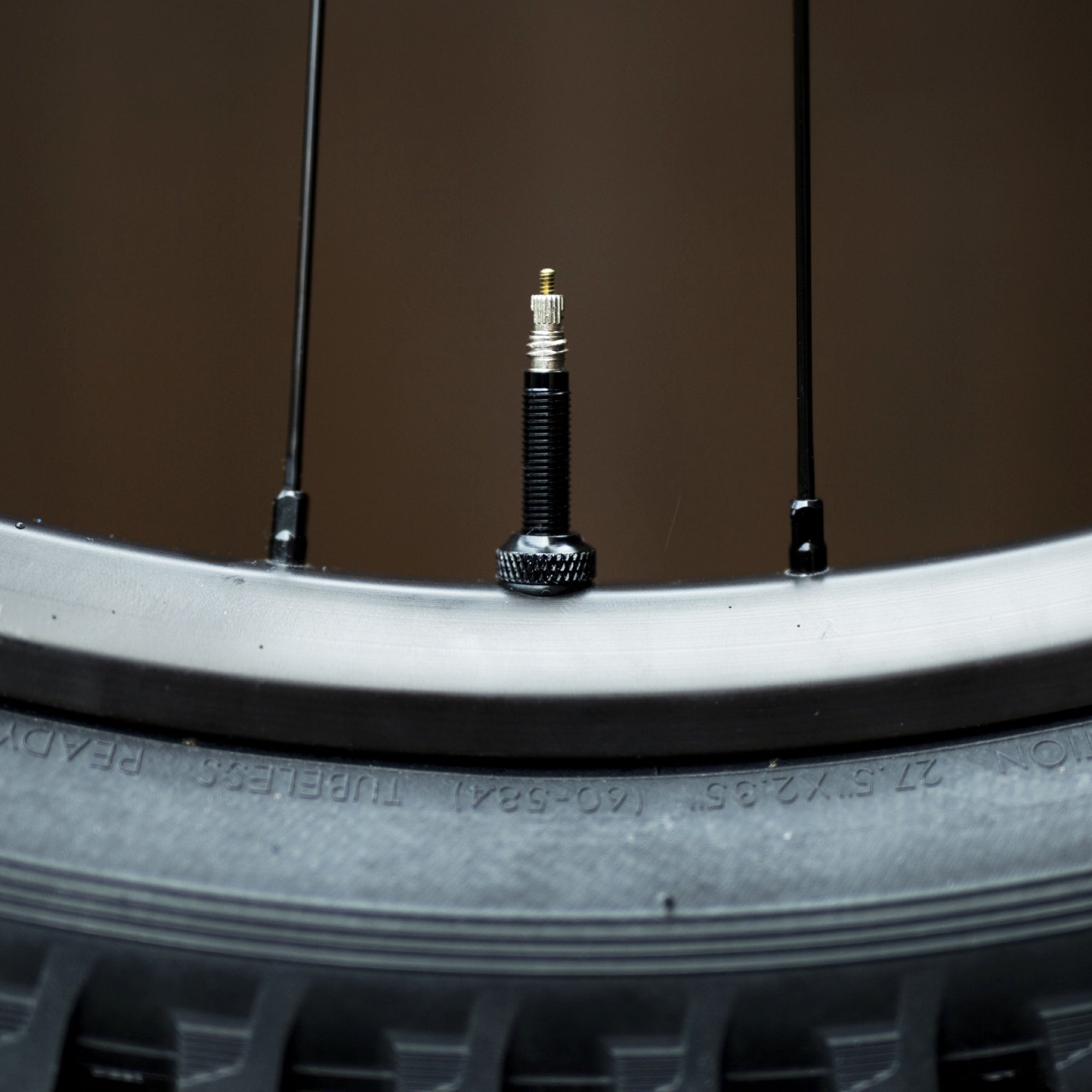 Valve droite pour pneu tubeless – Urban Emove